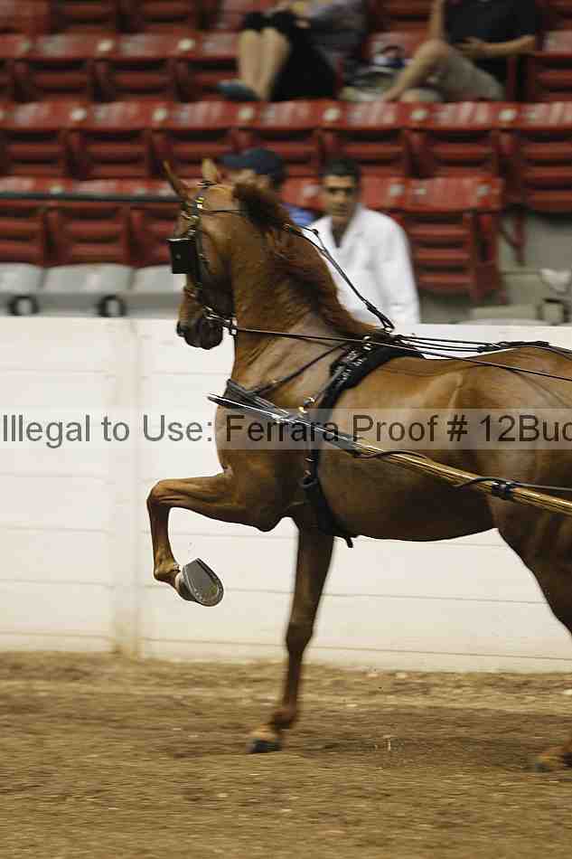 Proof 12buck_0031