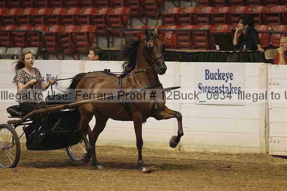 Proof 12buck_0034