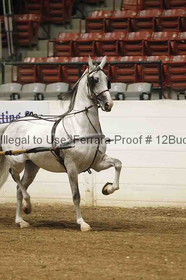 Proof 12buck_0035