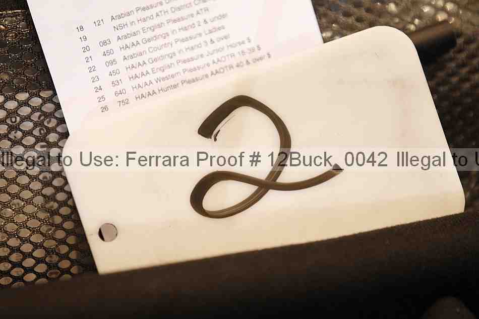 Proof 12buck_0042