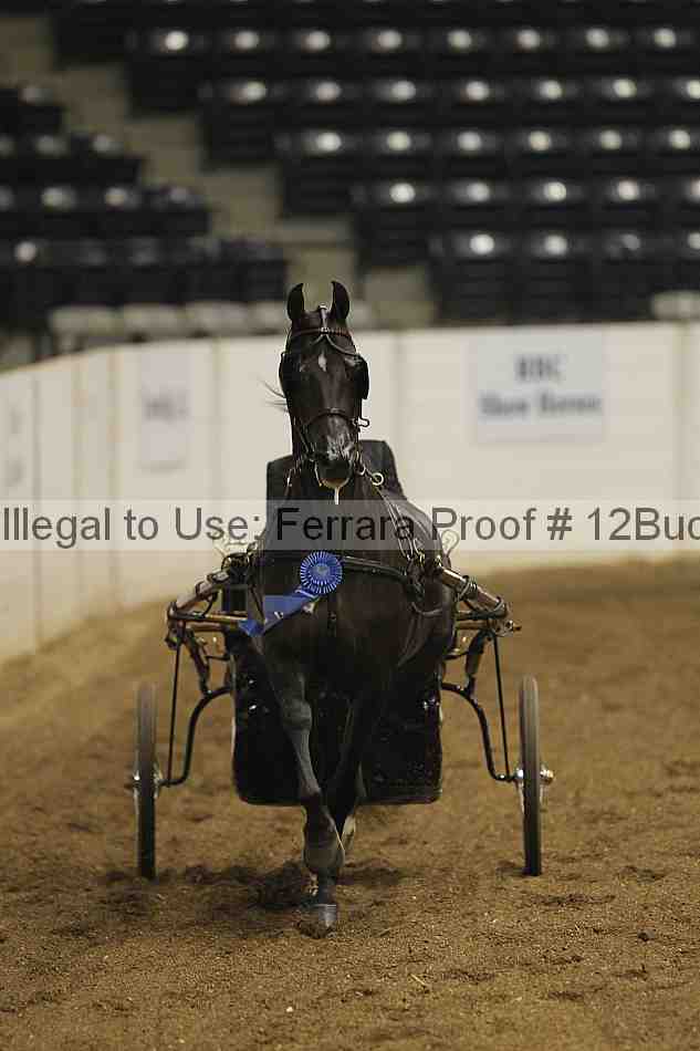 Proof 12buck_0044