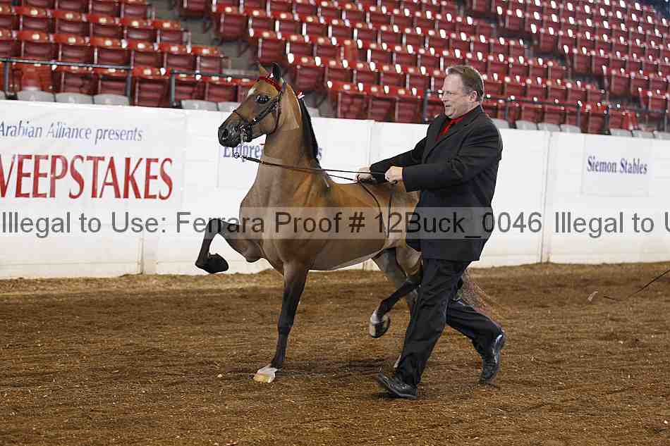 Proof 12buck_0046