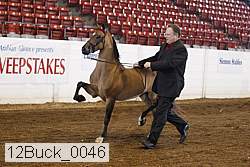 12buck_0046 proof