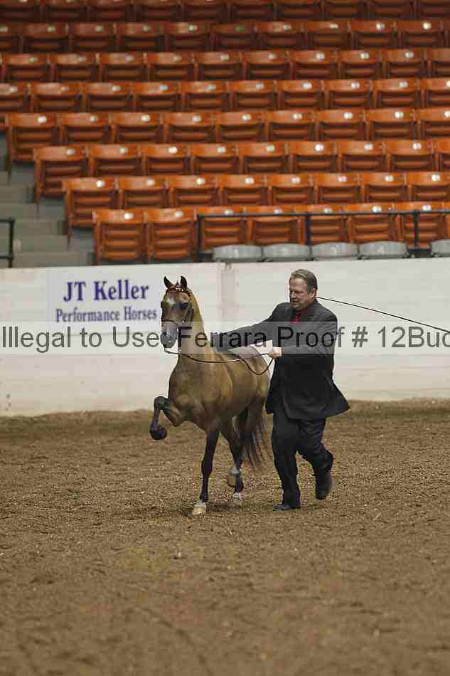 Proof 12buck_0047