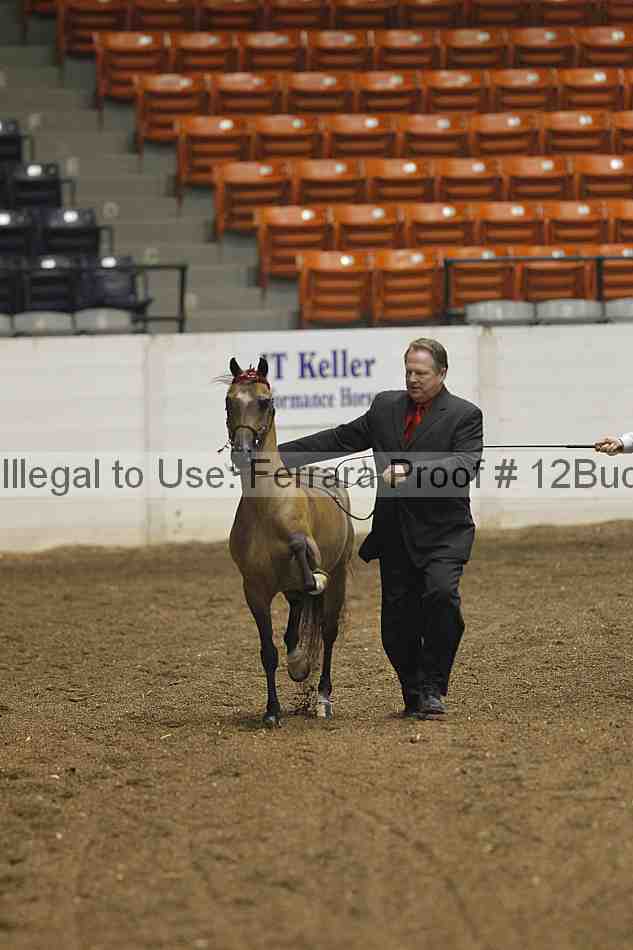 Proof 12buck_0048