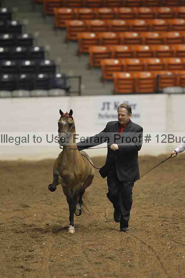Proof 12buck_0049