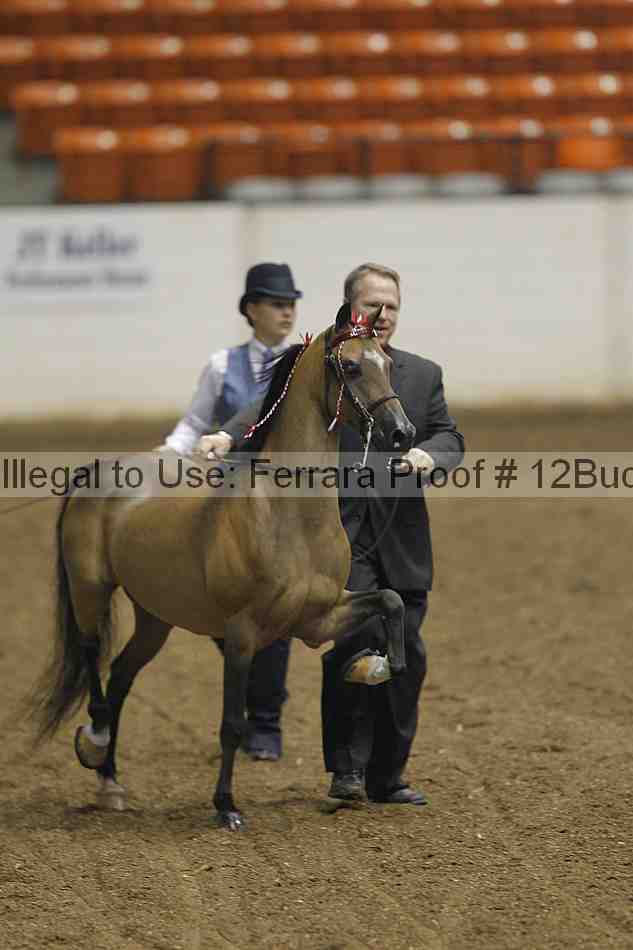 Proof 12buck_0050