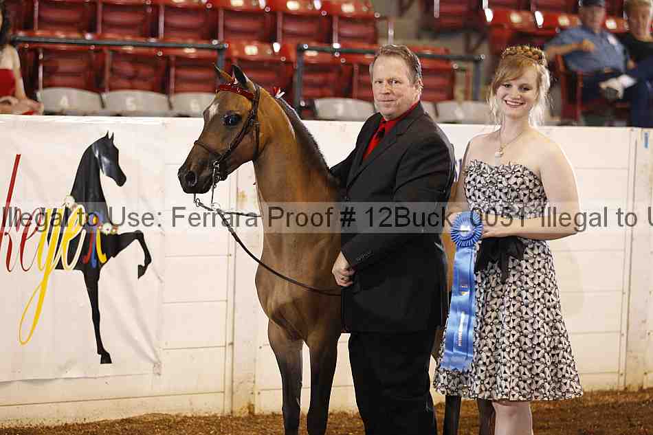 Proof 12buck_0051