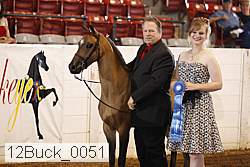 12buck_0051 proof