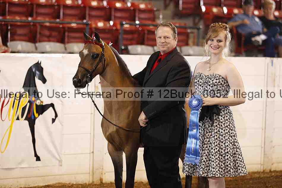 Proof 12buck_0052