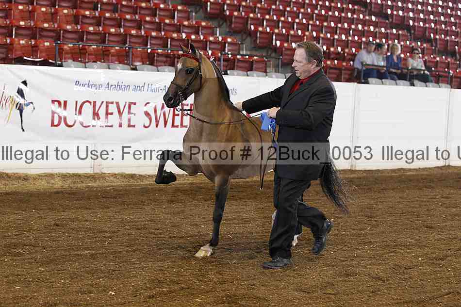 Proof 12buck_0053