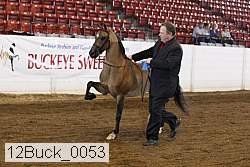 12buck_0053 proof