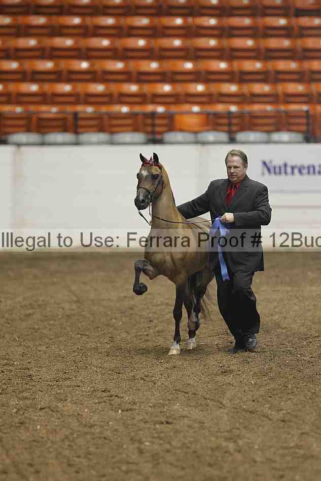 Proof 12buck_0054