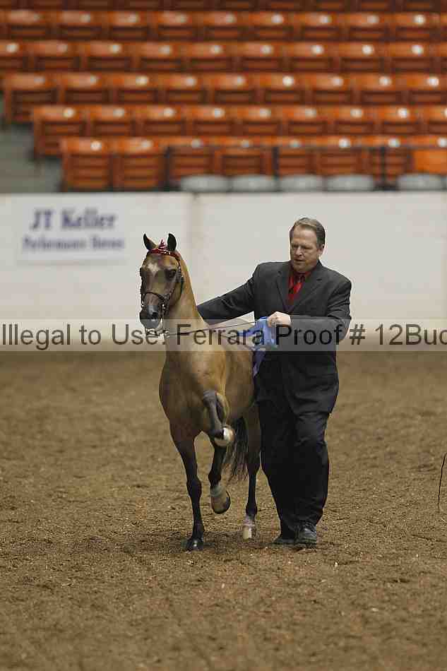 Proof 12buck_0055