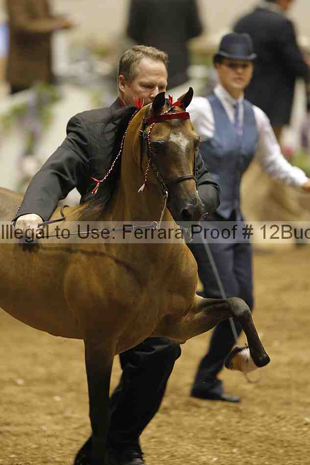 Proof 12buck_0057