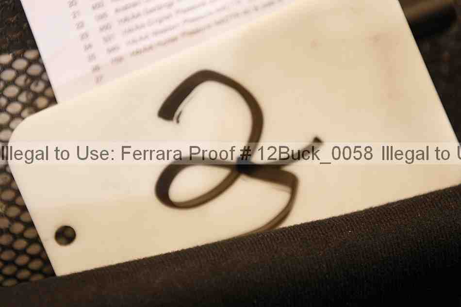 Proof 12buck_0058