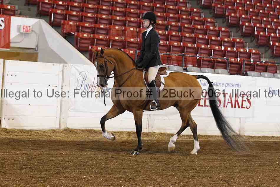 Proof 12buck_0061