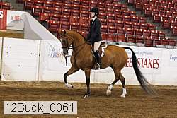 12buck_0061 proof