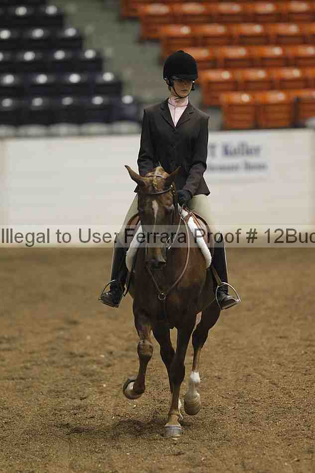 Proof 12buck_0068