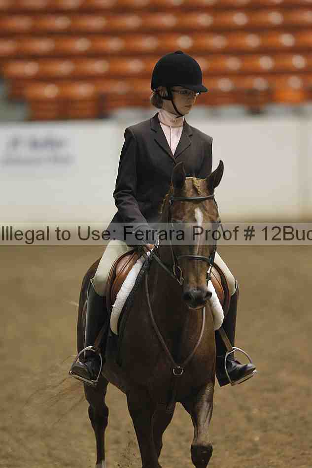 Proof 12buck_0069