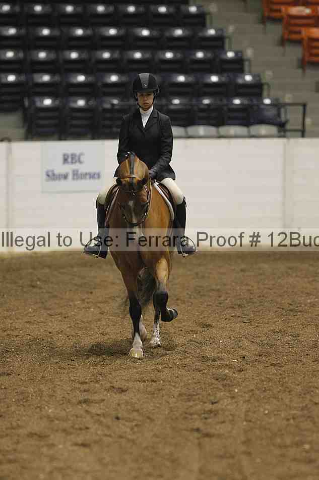 Proof 12buck_0070