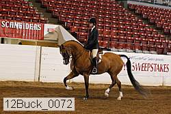 12buck_0072 proof