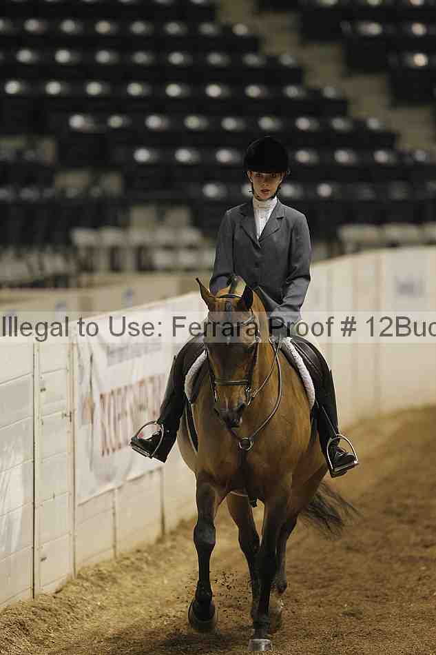 Proof 12buck_0073