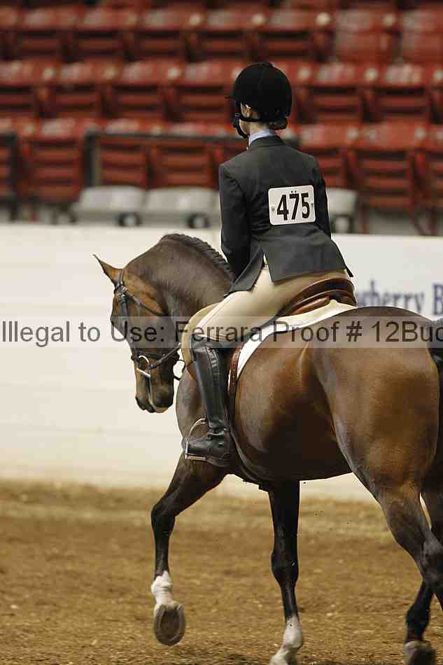 Proof 12buck_0075