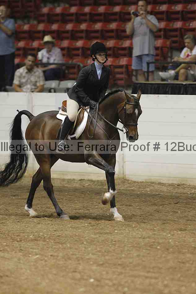 Proof 12buck_0078
