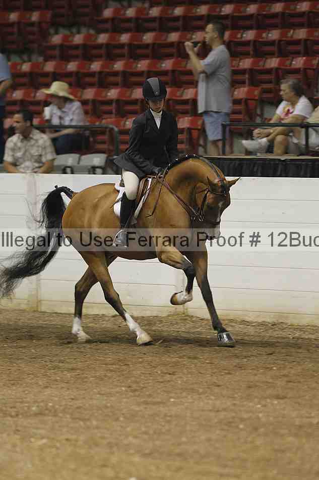 Proof 12buck_0079