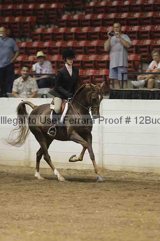 Proof 12buck_0080