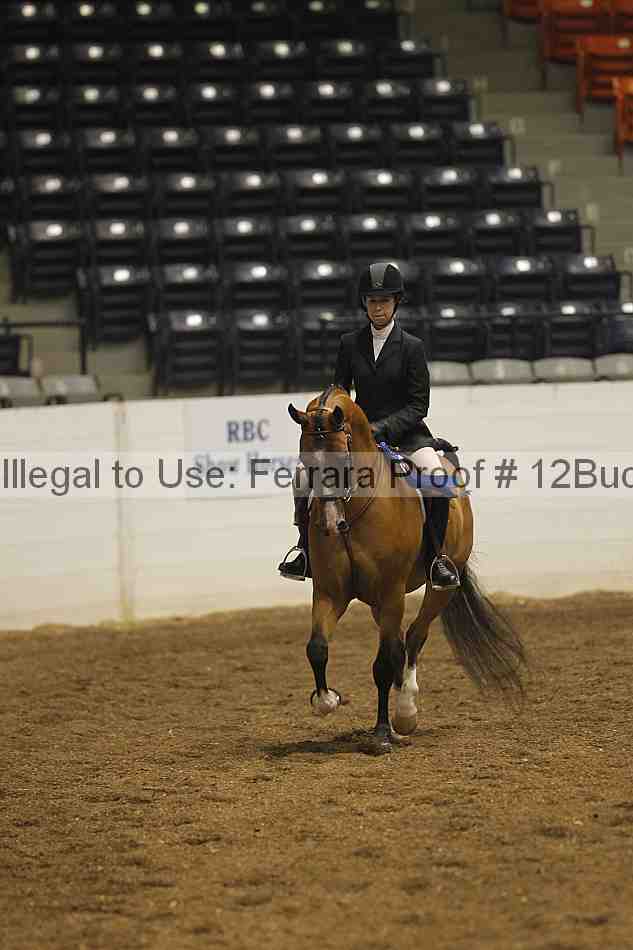 Proof 12buck_0082