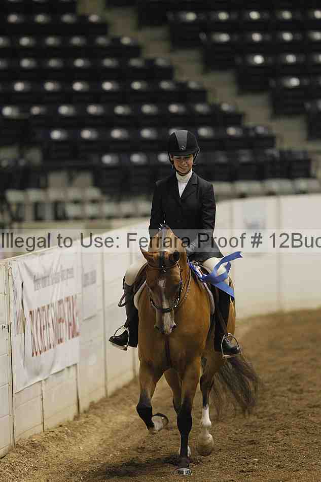 Proof 12buck_0083