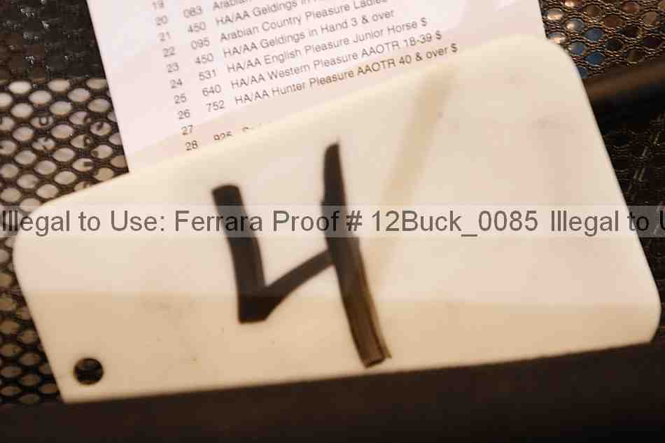 Proof 12buck_0085