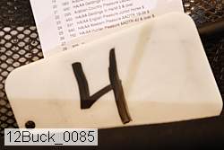 12buck_0085 proof