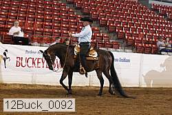 12buck_0092 proof