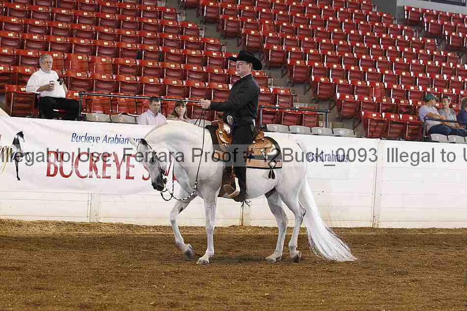 Proof 12buck_0093
