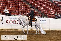 12buck_0093 proof