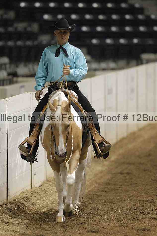 Proof 12buck_0095