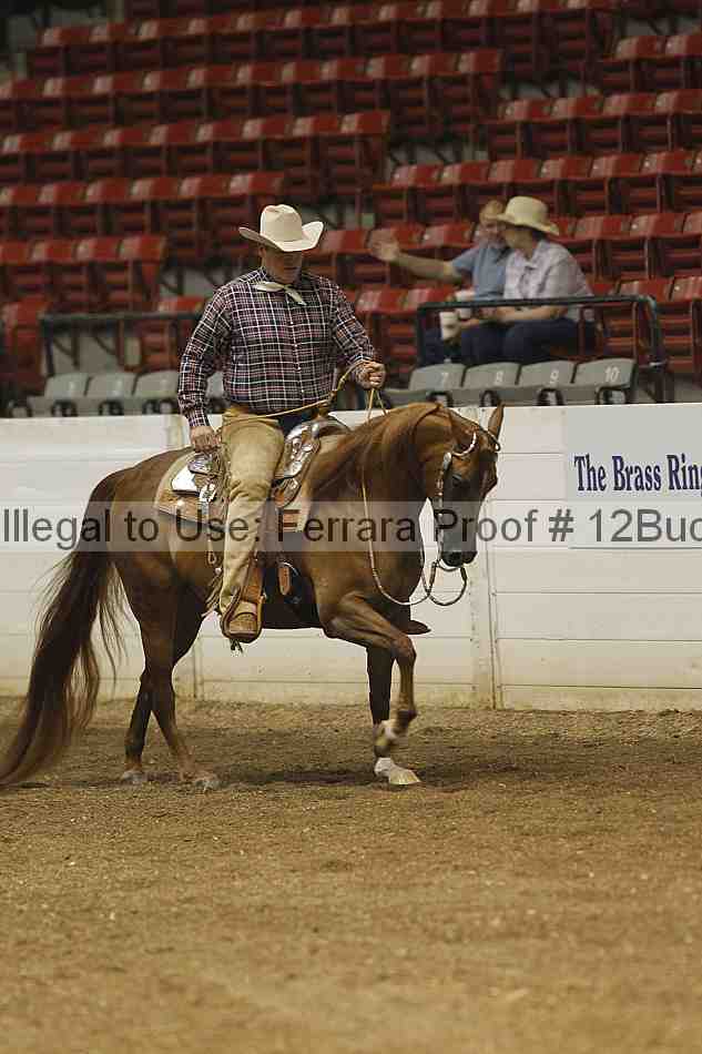 Proof 12buck_0099