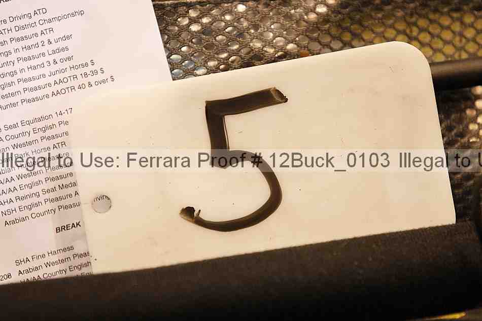 Proof 12buck_0103