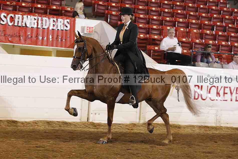 Proof 12buck_0107