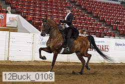 12buck_0108 proof