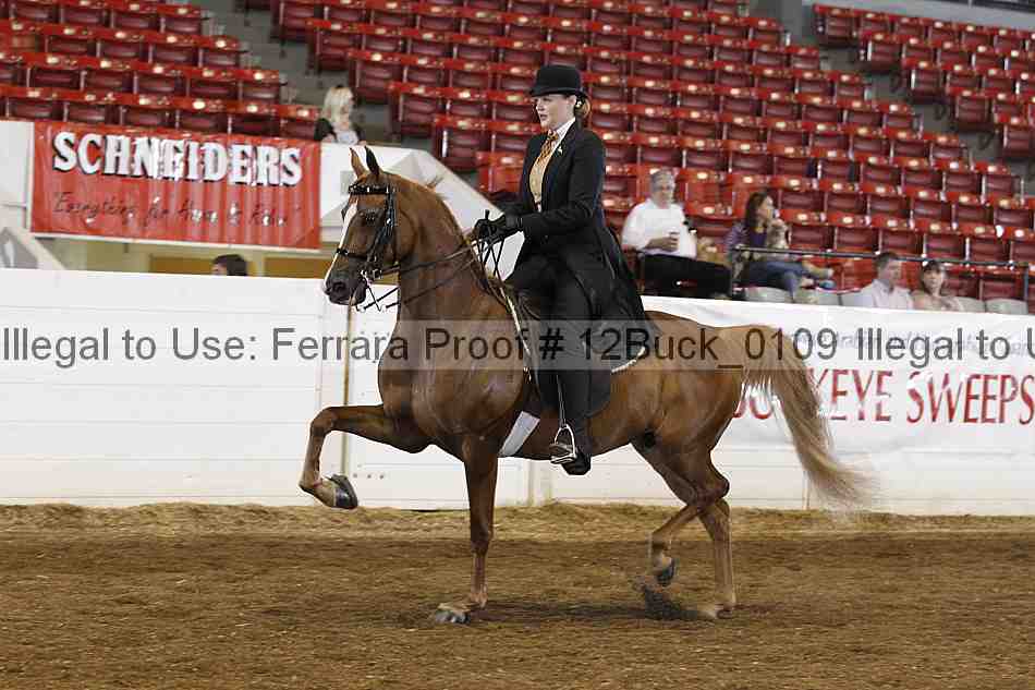Proof 12buck_0109
