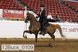 12buck_0109 proof
