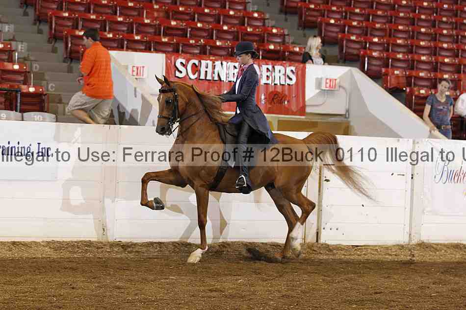 Proof 12buck_0110