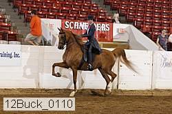 12buck_0110 proof