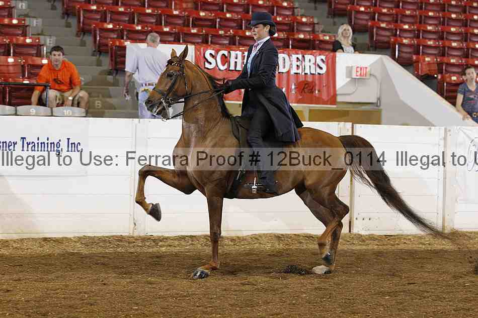 Proof 12buck_0114
