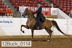 12buck_0114 proof