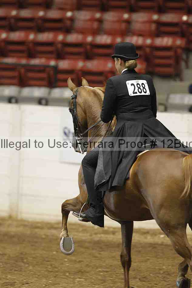Proof 12buck_0115